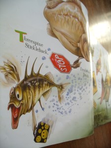 GEDSC DIGITAL CAMERA