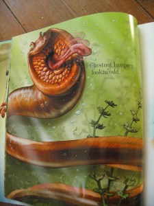 GEDSC DIGITAL CAMERA