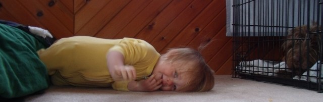 GEDSC DIGITAL CAMERA