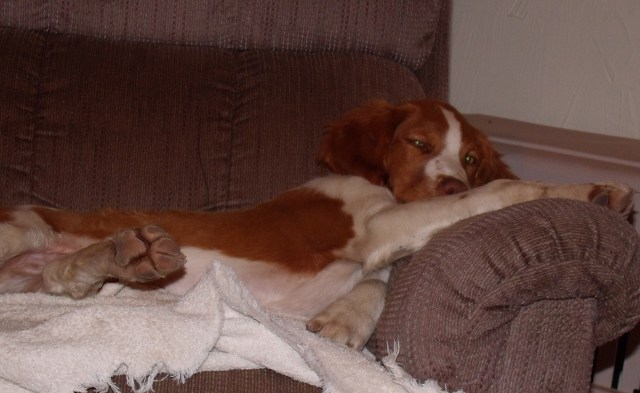 GEDSC DIGITAL CAMERA