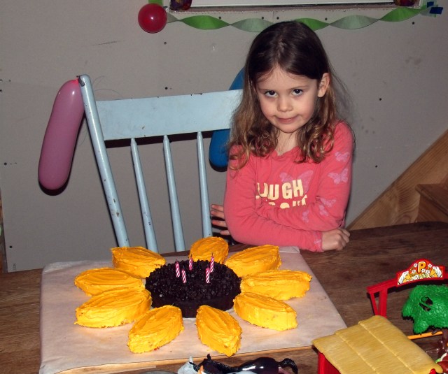 GEDSC DIGITAL CAMERA