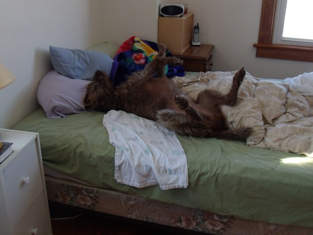 GEDSC DIGITAL CAMERA