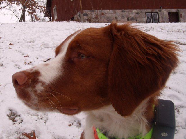 GEDSC DIGITAL CAMERA