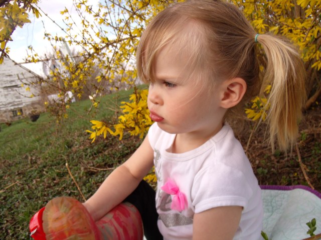 GEDSC DIGITAL CAMERA