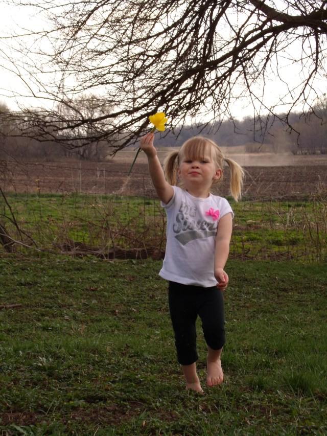 GEDSC DIGITAL CAMERA