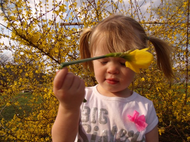 GEDSC DIGITAL CAMERA