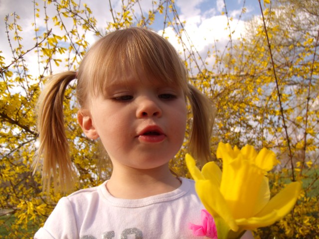 GEDSC DIGITAL CAMERA