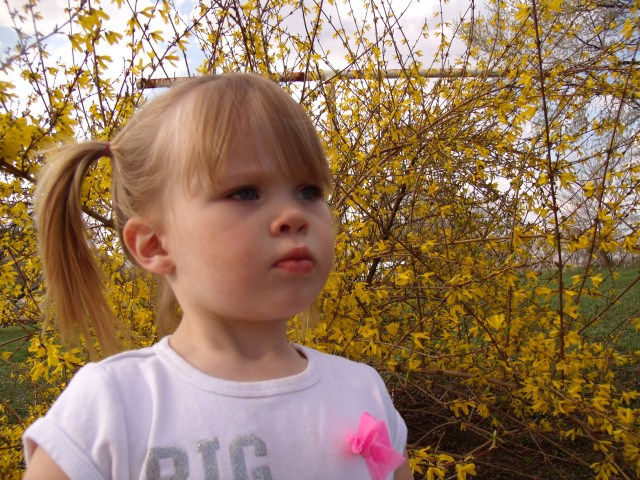 GEDSC DIGITAL CAMERA