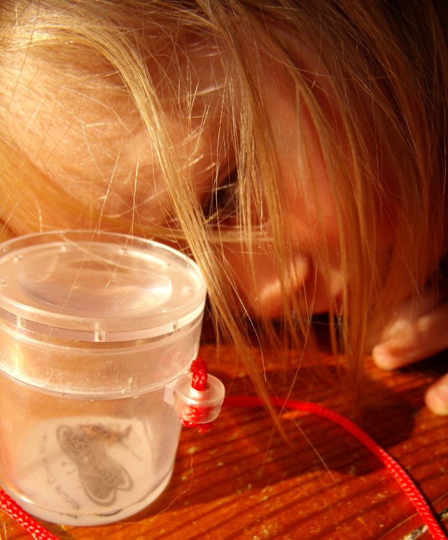 GEDSC DIGITAL CAMERA