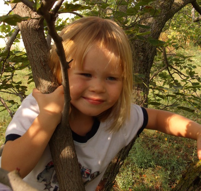 GEDSC DIGITAL CAMERA