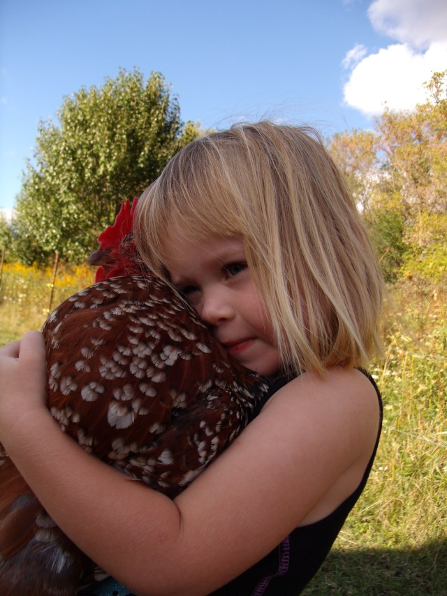 GEDSC DIGITAL CAMERA