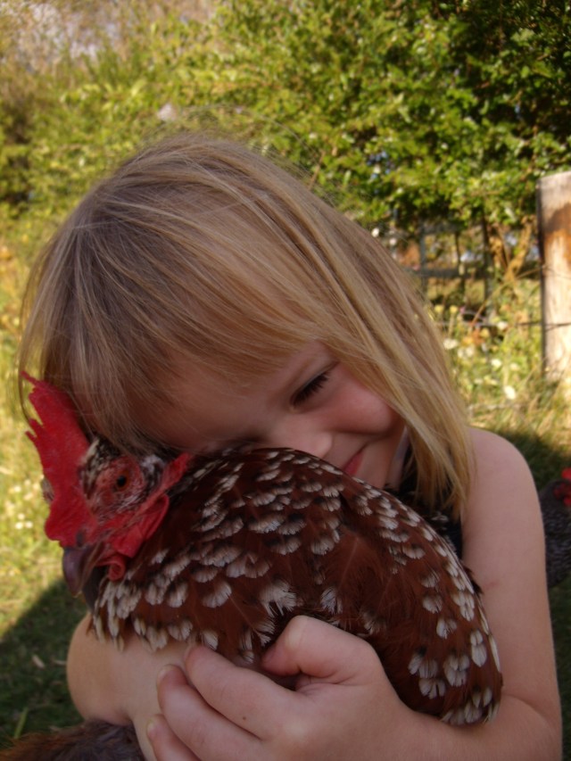 GEDSC DIGITAL CAMERA