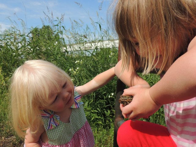 Clara, Jane and Toad