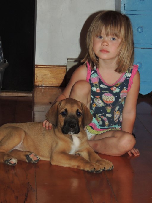 Meet Digby! We are puppy sitting during the day, more on that later!