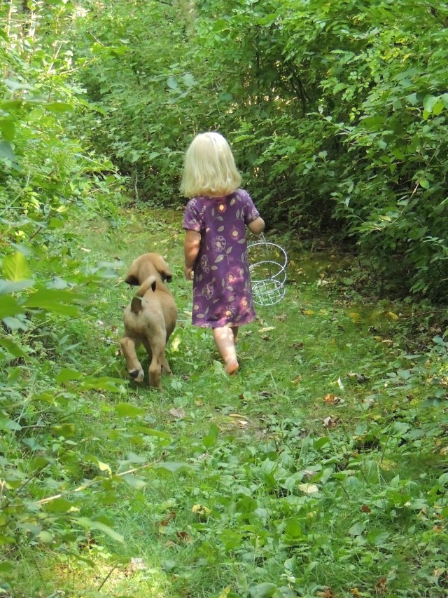 Jane and Digby Get The Eggs