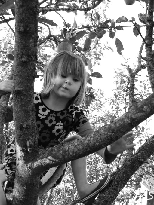 Clara black and white