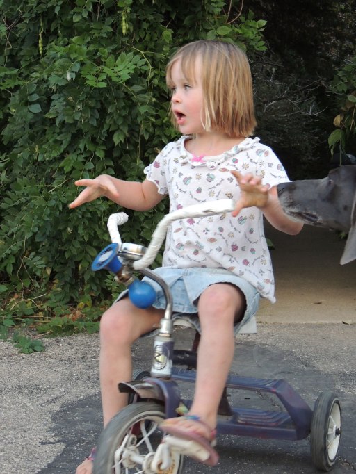 Clara tricycle - no hands