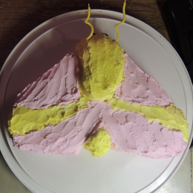 moth cake