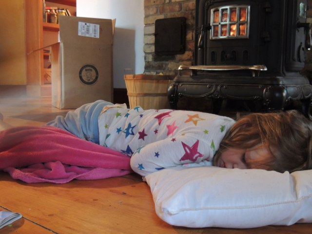 Clara napping by fire