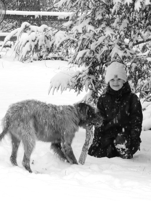 Ivy and Storm in the snow