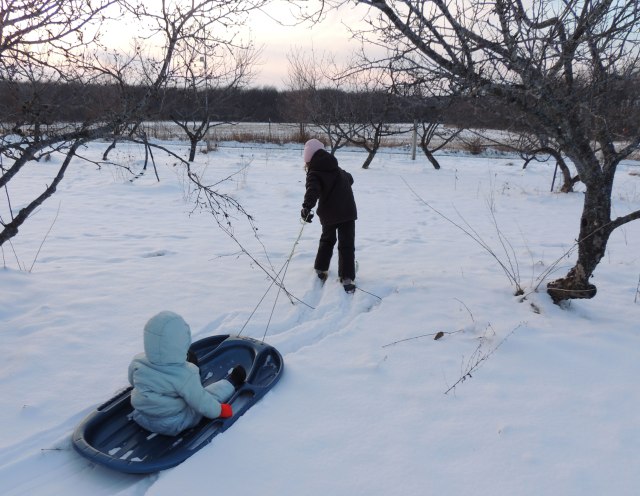 Ivy on ski's pulls Jane in sled.