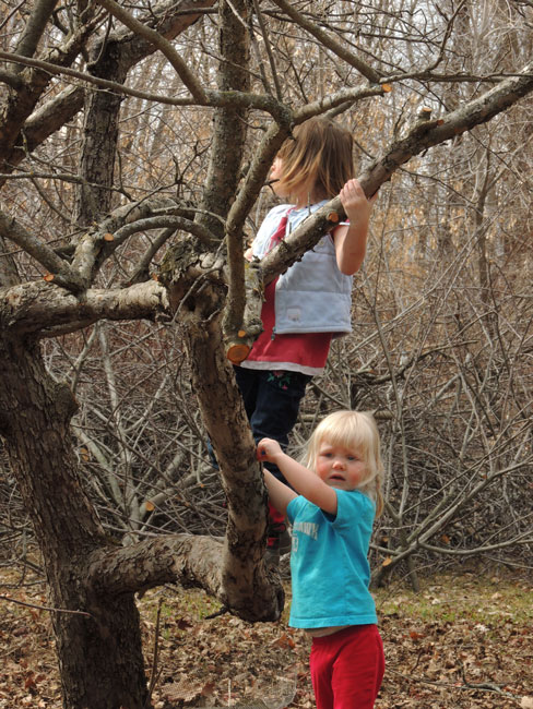 Clara and Jane climbing tree