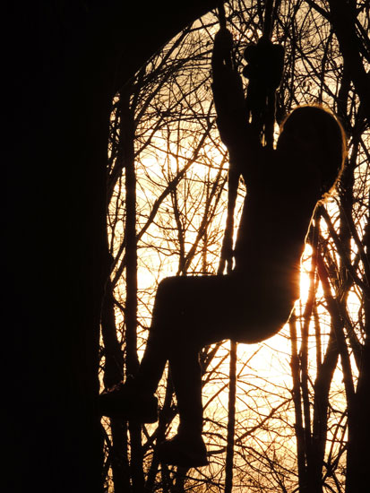 Ivy on the rope swing
