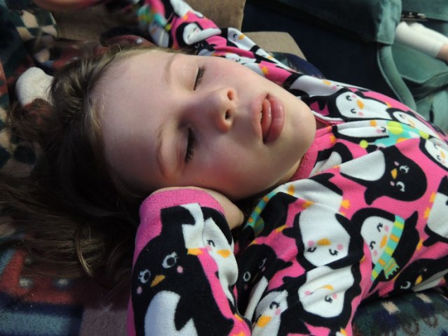 Ivy pretending to sleep