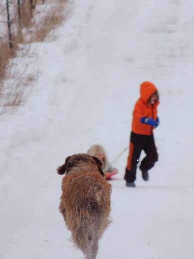 storm running, kids sledding