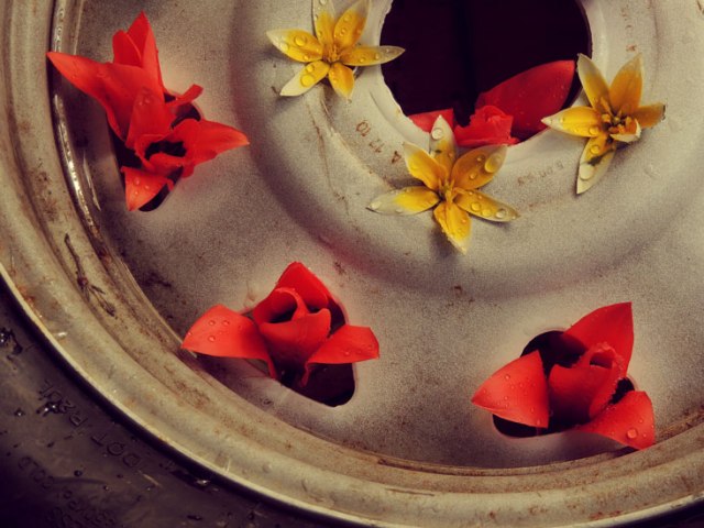 flowers in spare tire