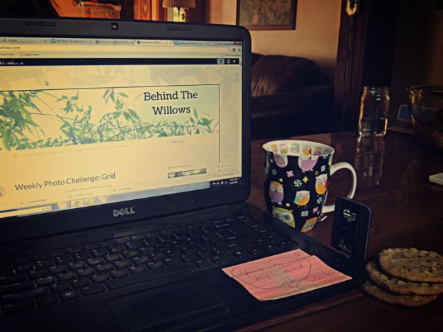 blogging, tea, cookies