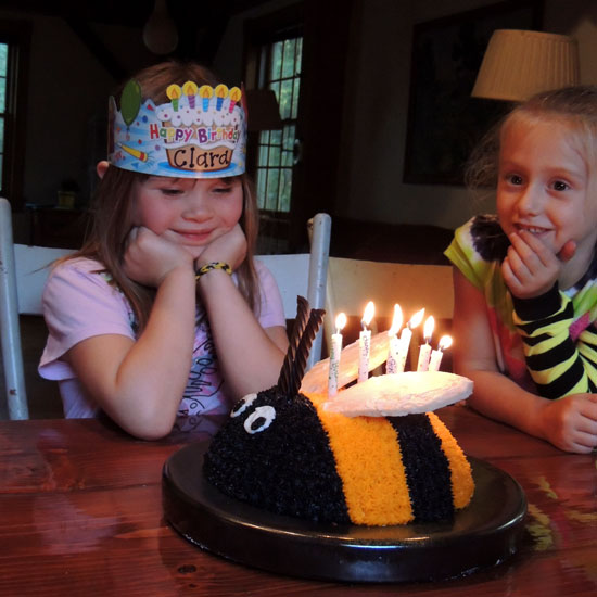 Clara's bee cake