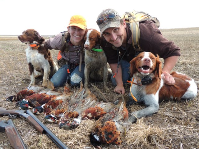 One field, three awesome dogs and a limit of pheasants for everyone including my mom the picture taker.