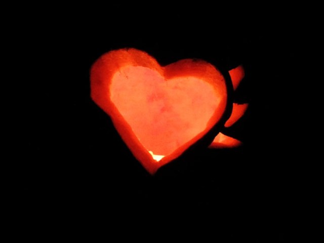 #rawrlove pumpkin