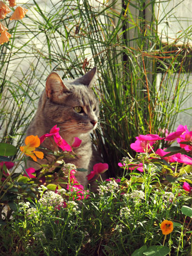 This has nothing to do with toothbrushes of any age.