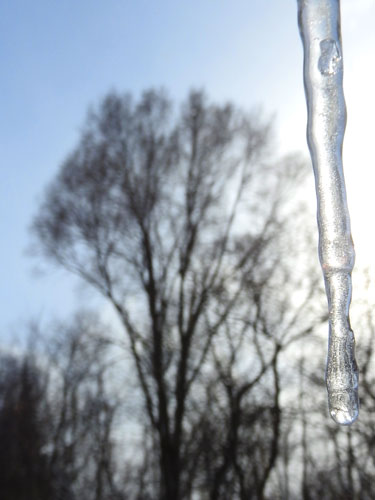 icicle