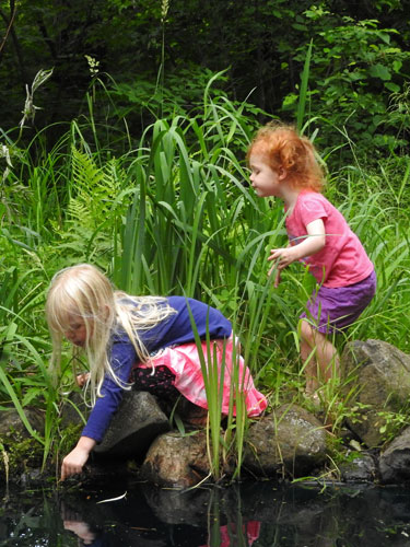 Jane and Natalie catching frogs