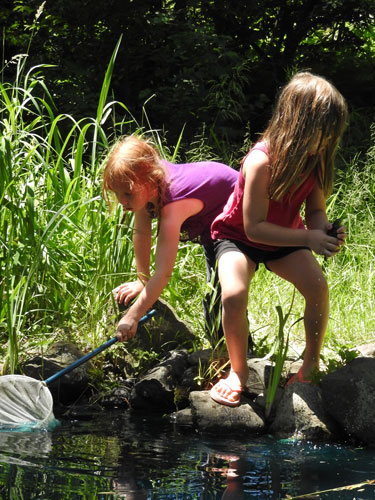 Clara and Gwen catching frogs