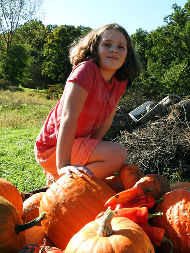 Ivy on pumpkins