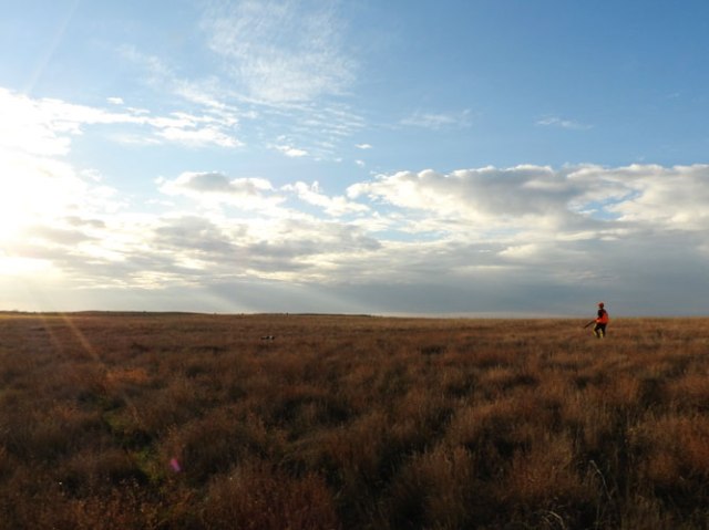 John and Buzz hunting