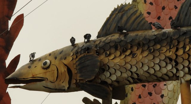 metal fish with pigeons