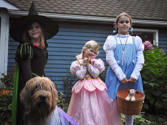 Clara, Jane, Ivy and Storm