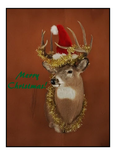 Christmas deer