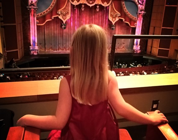 wp_20161223_13_16_59_pro-2