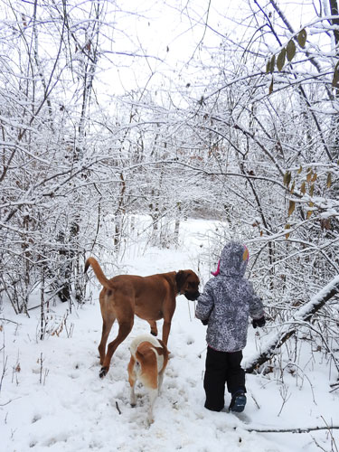 Jane, Digby and Jasper
