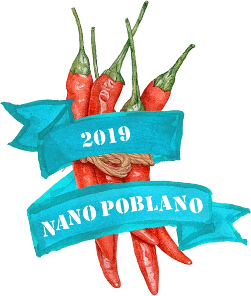 nanopoblano2019